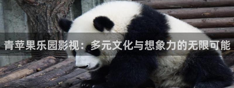 yyyy8844影院免费观看影片人人7788电影网：青苹果乐园影视：多元文化与想象力的无限可能