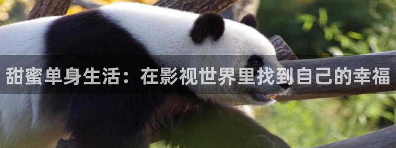 人人做人人爱免费视频：甜蜜单身生活：在影视世界里找到自己的幸福