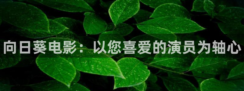 天天影院人人爽：向日葵电影：以您喜爱的演员为轴心
