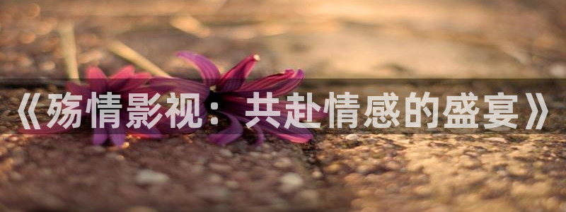 如何把人人讲视频导出